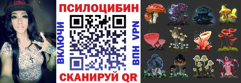 Псилоцибиновые грибы Psilocybine cubensis  Купить  Заводоуковск 