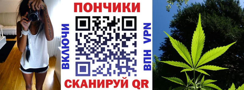 Купить закладки  Заводоуковск  Конопля MAZAR 